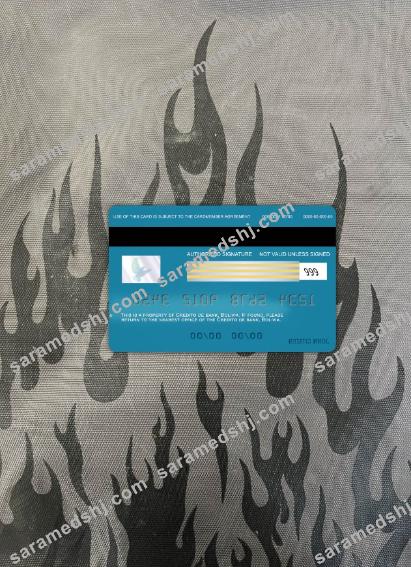 Bolivia Credito bank visa card photolook back